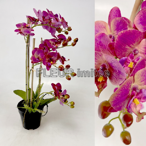 Orchidea 60cm latex v květníku