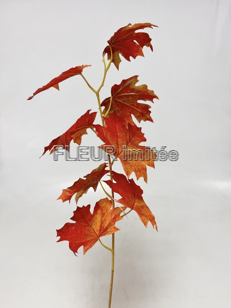 Větev javor 78cm 24/144