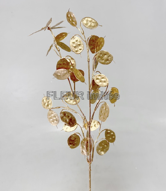 Penízky ván.  77cm  36/288