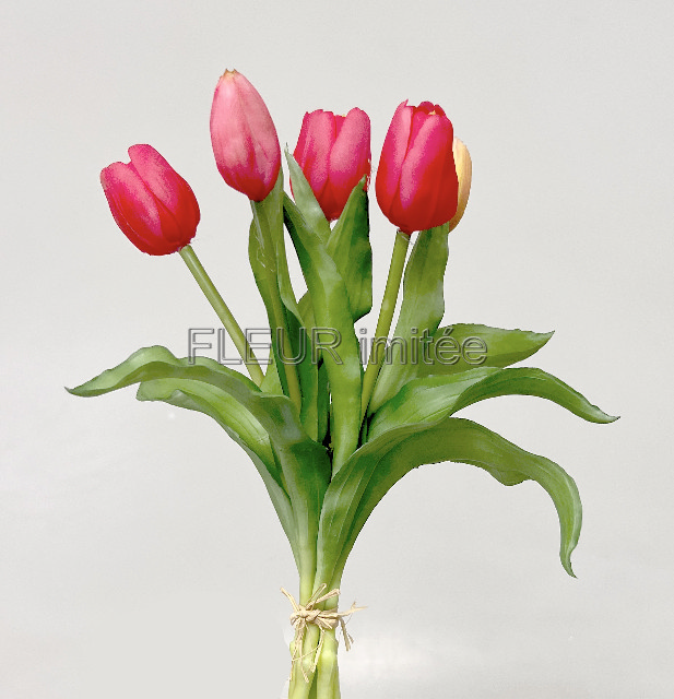 Tulipán x5 latex 30cm 12/96