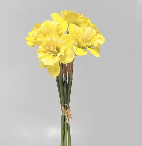 Narcis x6 30cm 24/240