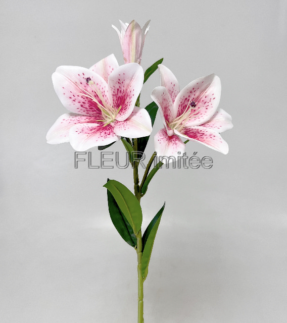 Lilie x3 76cm  24/72