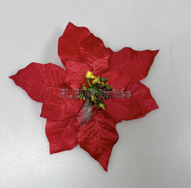 Květ poinsettia 20cm 12/240