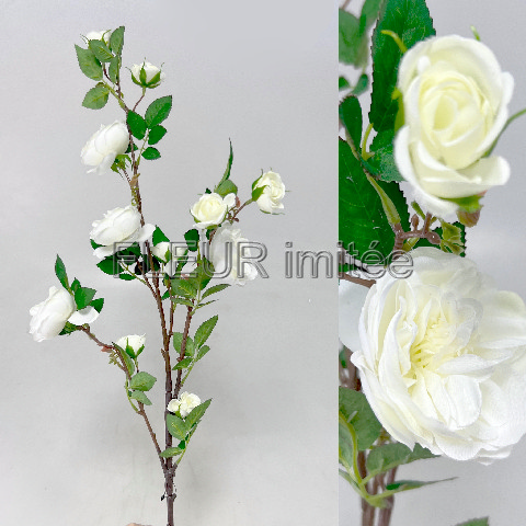 Růže větev andělská 90cm