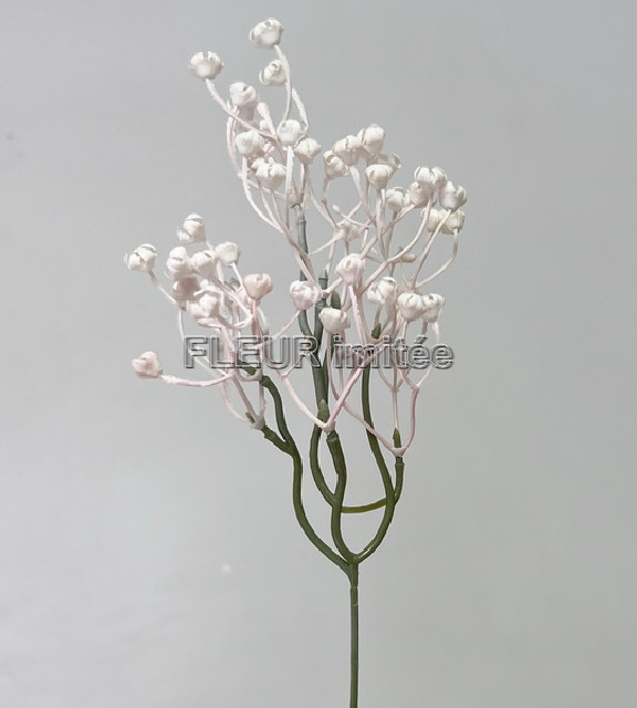Gypsophila latex 43cm 1/144