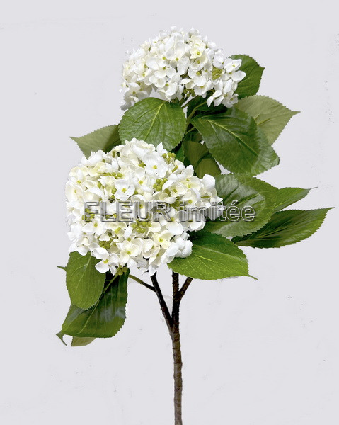 Hortenzie x2  80cm 1/72