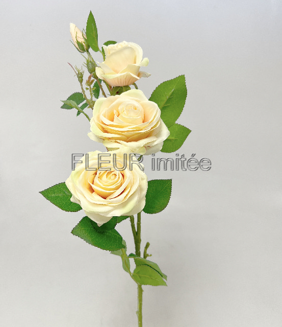 Růže x4 79cm SUN880 18/180