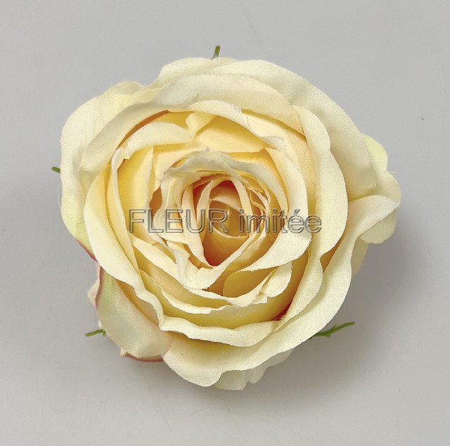 Květ růže  Tiamo 8cm 12/240