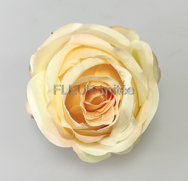 Květ růže  Tiamo 8cm 12/240