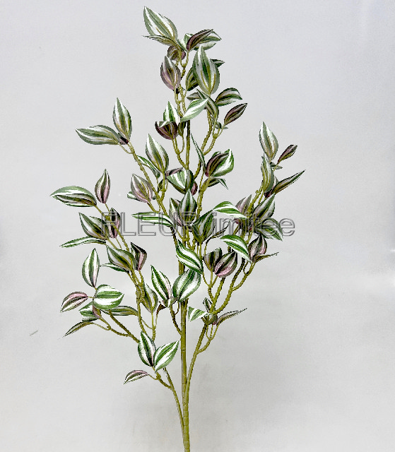 Tradescancia x3 98cm 24/240