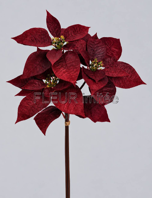 Poinsettia x3 LUX velvet 60cm 12/72