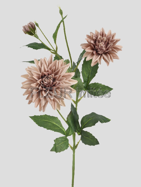 Jiřina x3 70cm 18/216