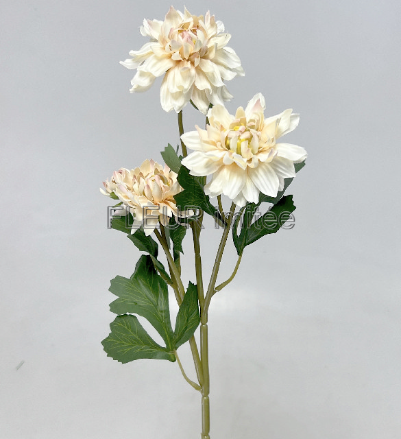 Jiřina x5 53cm  24/240