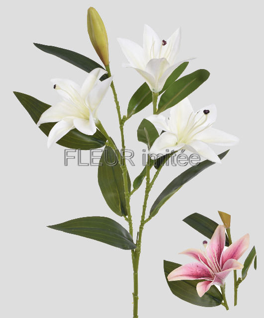 Lilie x3 78cm 36/144