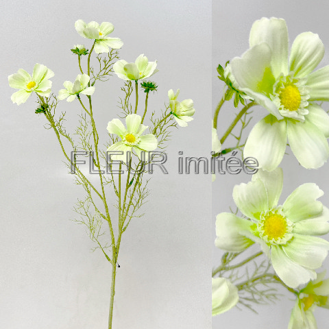 Cosmos x9 80cm 24/336