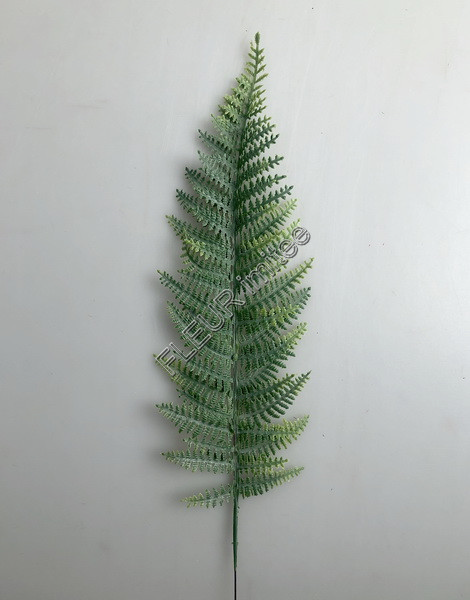 List kapradí 43cm pl. 12/1200