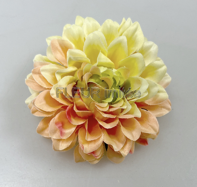 Květ jiřina 8cm 12/600