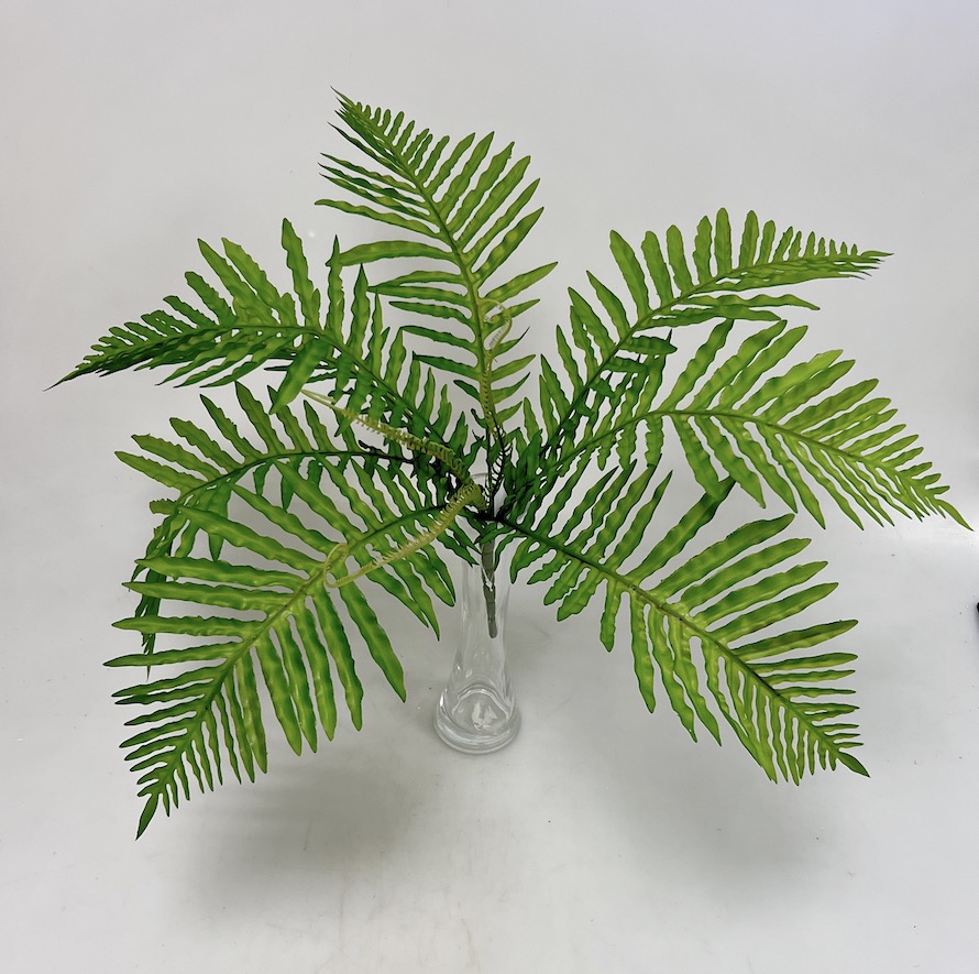 Kapradí x10 50cm 24/144