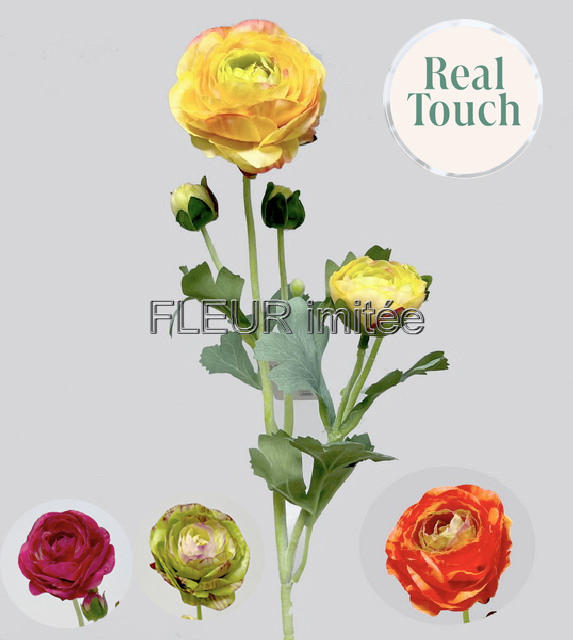 Ranunculus x5 52cm 12/120
