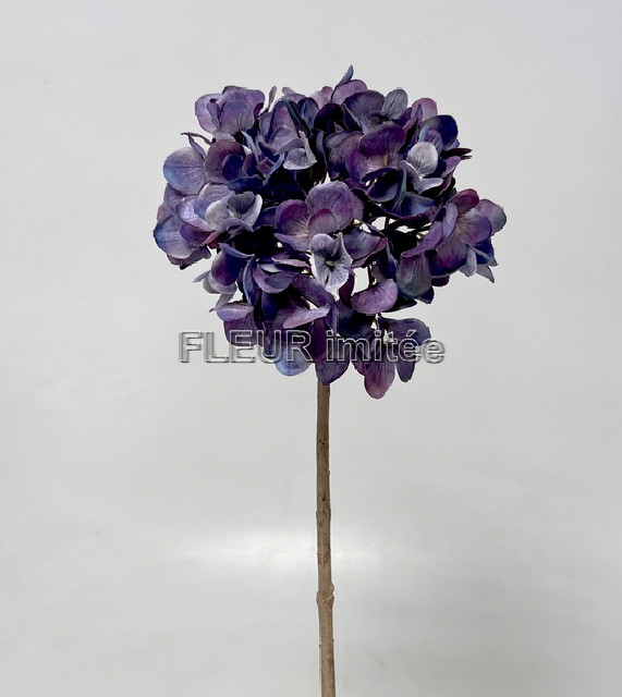 Hortenzie x1  49cm  12/120