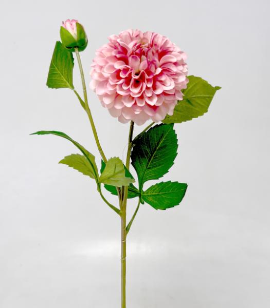 Jiřina  x2 63cm  24/240