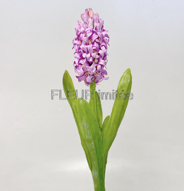 Hyacint latex 40cm 24/240