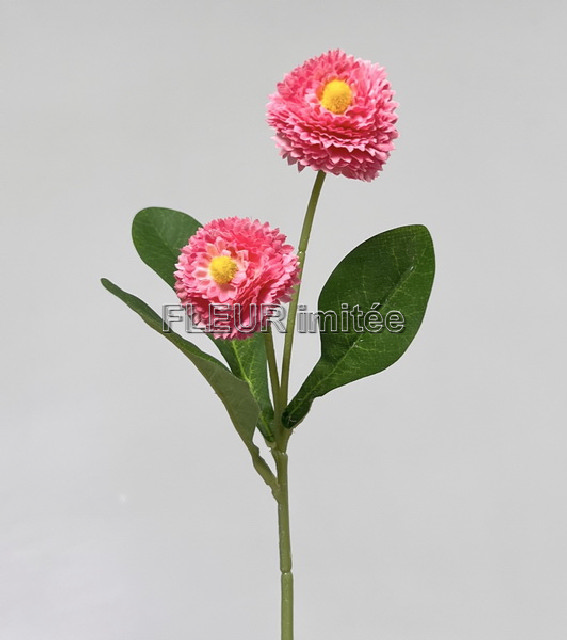 Sedmikráska x2 32cm