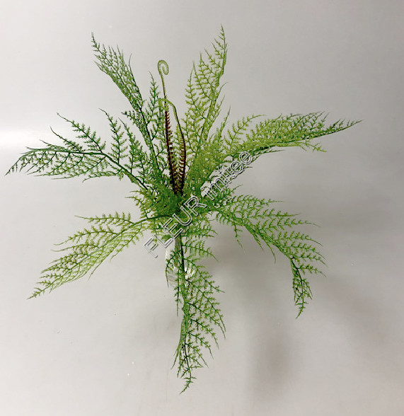 Kapradí x7 latex  40cm   1/24