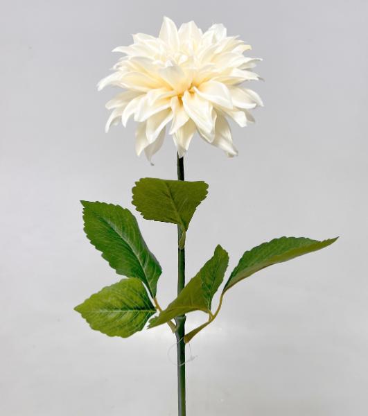 Jiřina x1 70cm 24/192