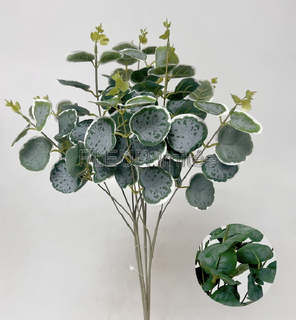 Eukalypt x4 52cm 1/48