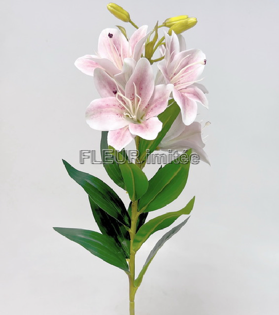 Lilie x5 75cm 18/72