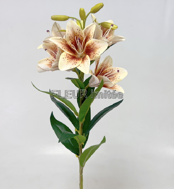 Lilie x5 75cm 18/72
