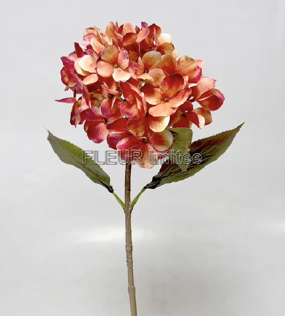 Hortenzie 68cm 12/96