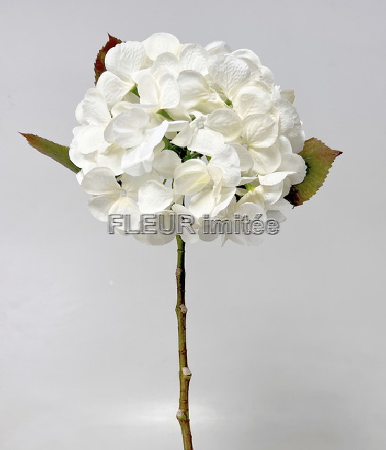 Hortenzie x1 48cm 24/192