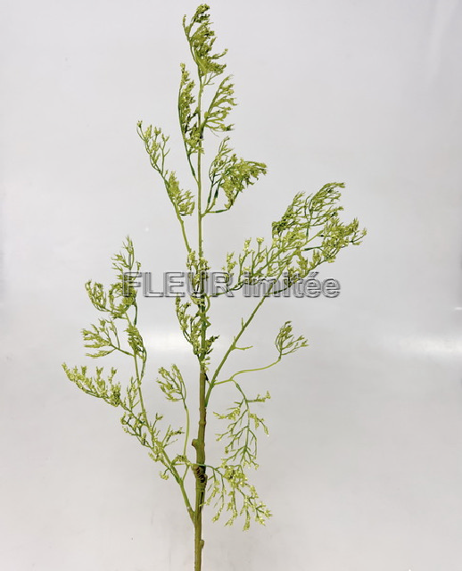 Poisoned twig 96cm