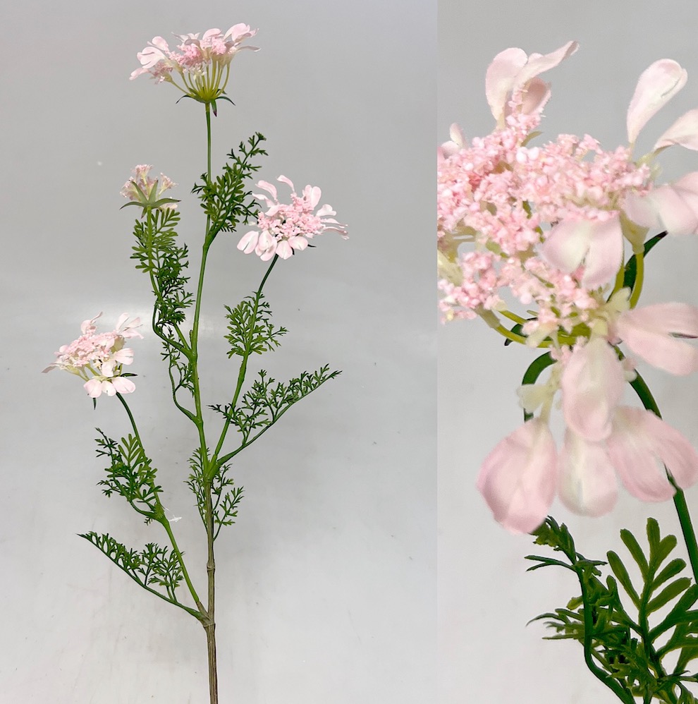 Kopr kvet.x4  95cm 12/96