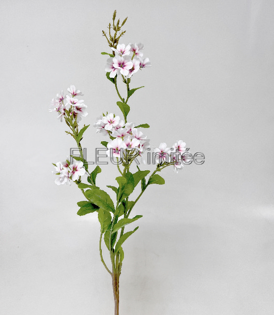 Flox x7  85cm 24/192