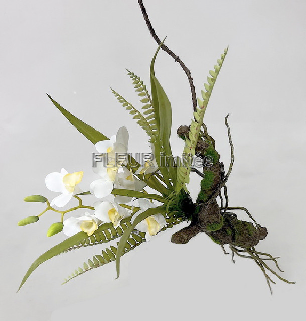 Orchidea na větvi 30cm 6/24