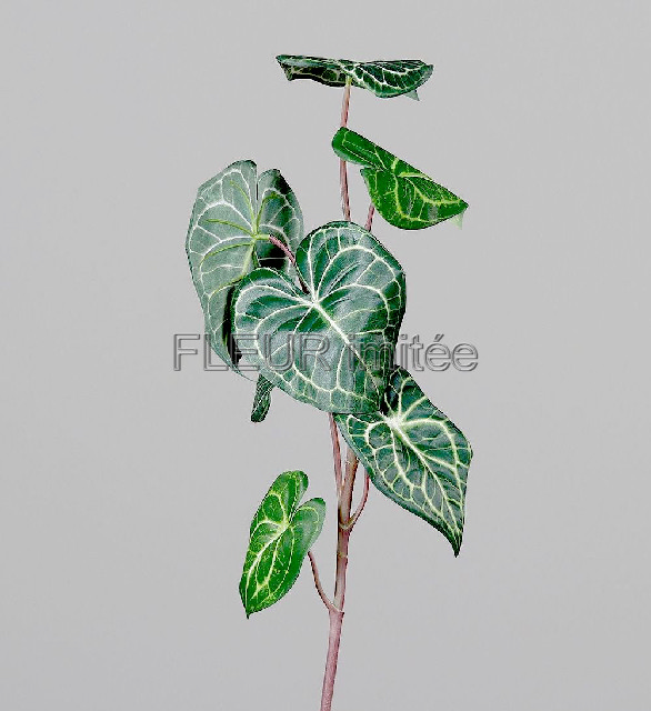 Anturie větev 74cm  18/108