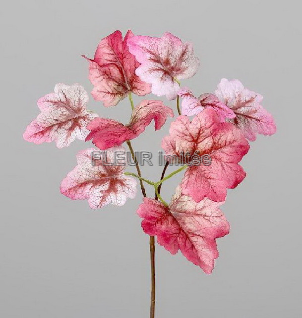 Begonie 40cm 12/144